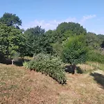 Spacieux Pour 8 Personnes En Dordogne Avec Grand Jardin - Fr-1-616-545 بيت للعطل
