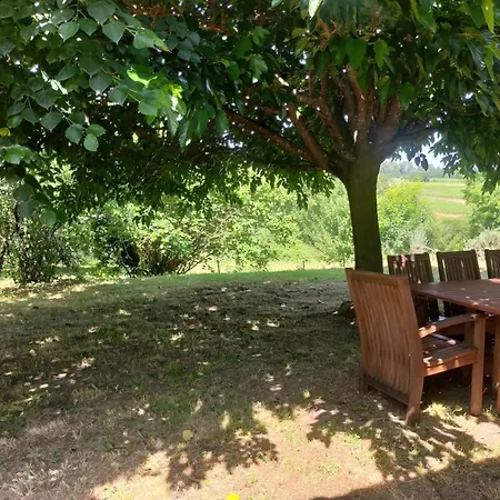 Spacieux Pour 8 Personnes En Dordogne Avec Grand Jardin - Fr-1-616-545 Feriehus Minzac