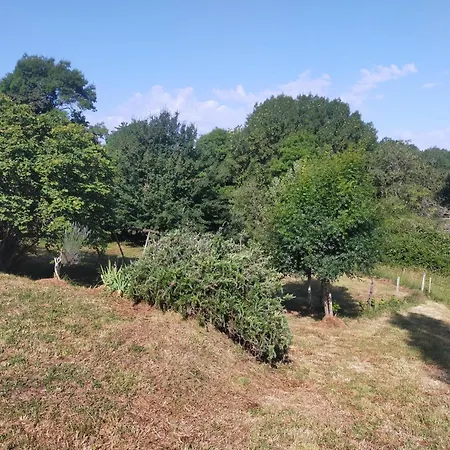 Spacieux Pour 8 Personnes En Dordogne Avec Grand Jardin - Fr-1-616-545 Feriehus